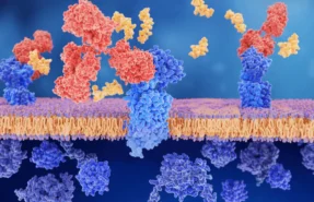 buy peptide injections