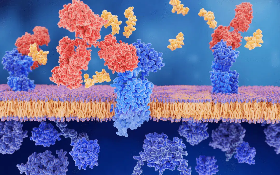 buy peptide injections